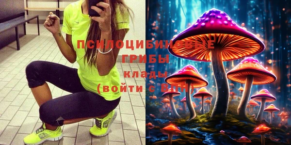 СК Бронницы