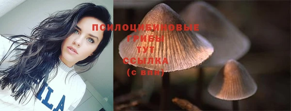 марихуана Бородино