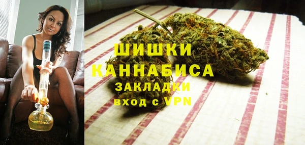 СК Бронницы