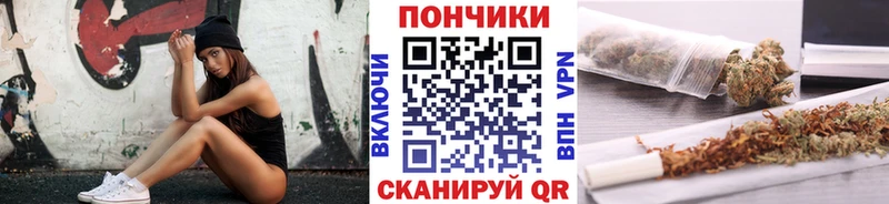 Бошки Шишки Amnesia  Купить  Чулым 